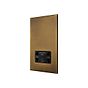 Aged Brass 230V/115V Dual Voltage Shaver Socket with Black Insert  - The Palaces Collection