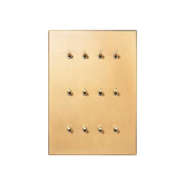 Natural Brass 12 Gang 20A 2 Way Toggle Switch - The Palaces Collection