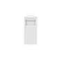 White BT Master EM-Euro Module