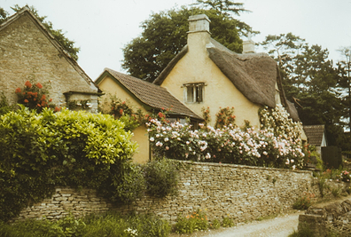 What Is Cottagecore Interior Design?