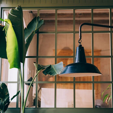 Biophilic Home Office Design Ideas