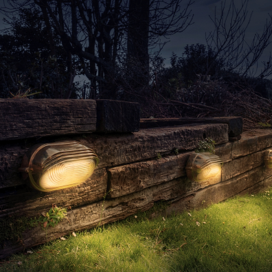 A Guide to Wildlife Friendly Outdoor Lighting