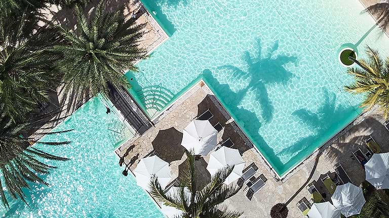 Neilson x The Ravenala Attitude