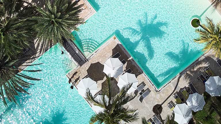 Neilson x The Ravenala Attitude