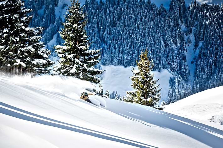 Skiing on fresh powder