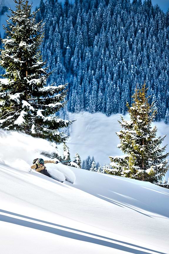 Skiing on fresh powder