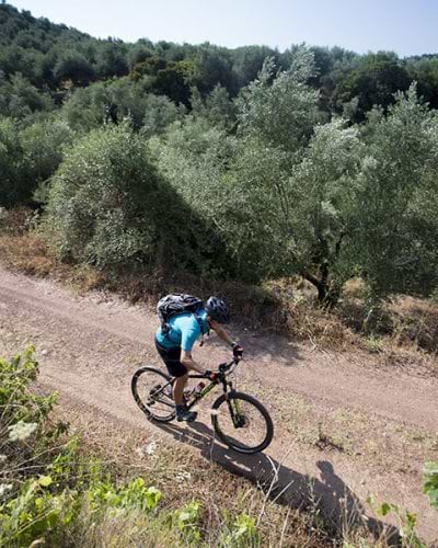 Cycle tracks sale near me