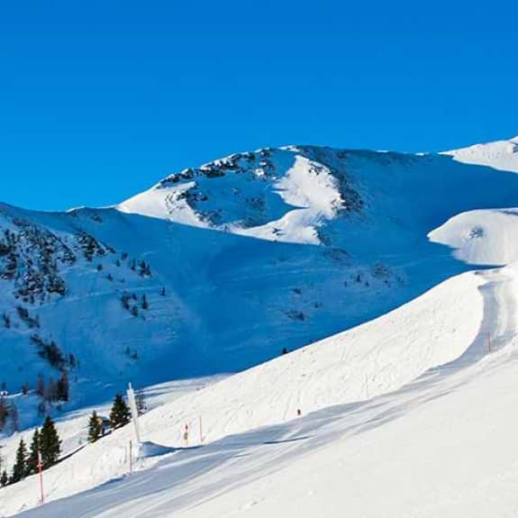 skier