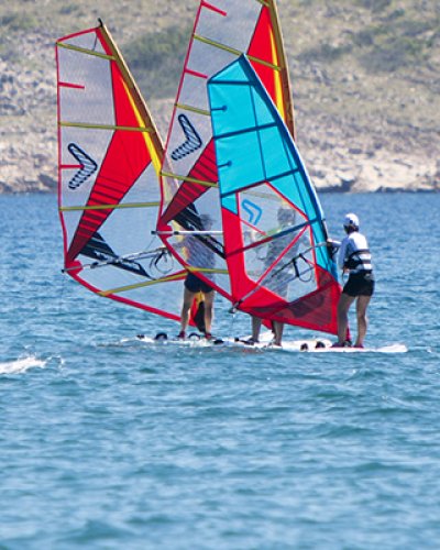 Group of people windsurfing