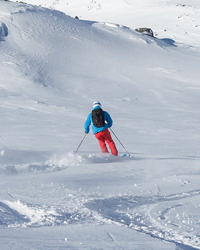 Group of people skiing in powder