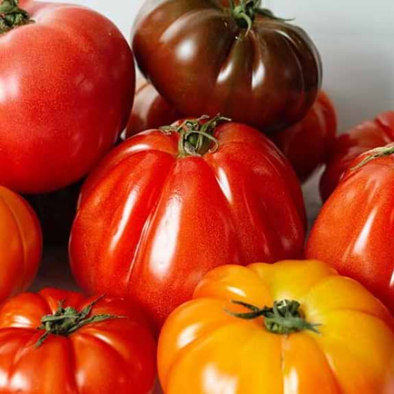 Salmorejo Cordobes