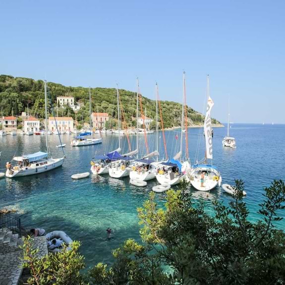 Flotilla 