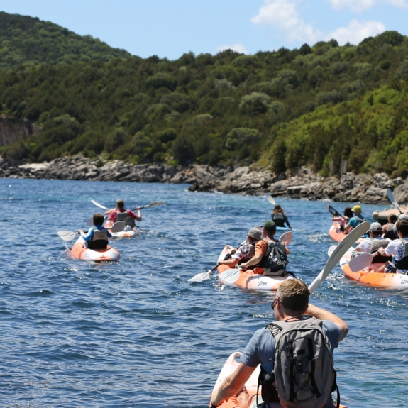 Kayak safari