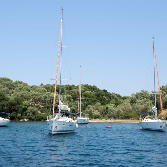 Neilson yachts