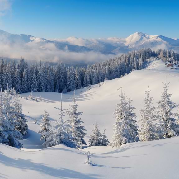 snow scene