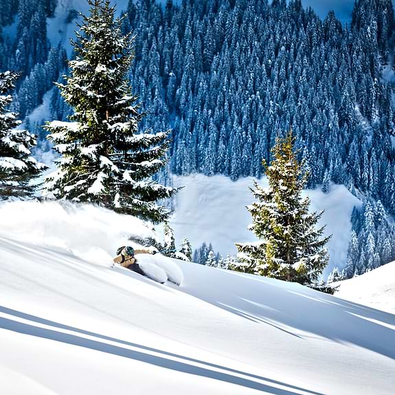 Skier in deep snow