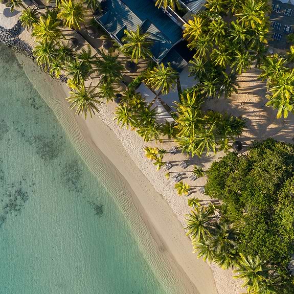 Neilson x The Ravenala Attitude