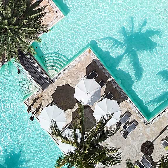 Neilson x The Ravenala Attitude