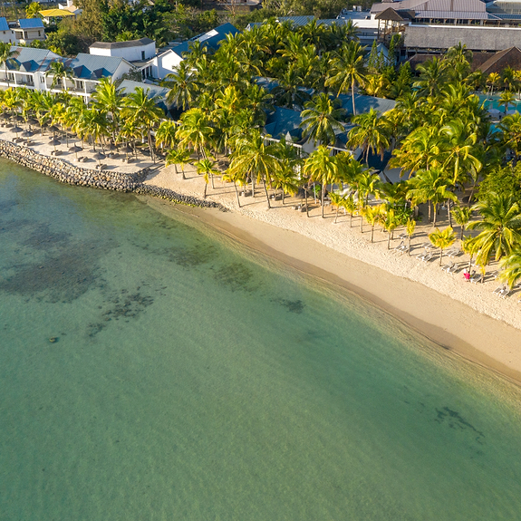 Neilson x The Ravenala Attitude