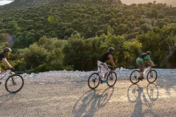 group of people mountain biking at sunset
