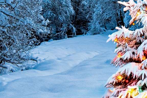 Christmas tree on a ski slope