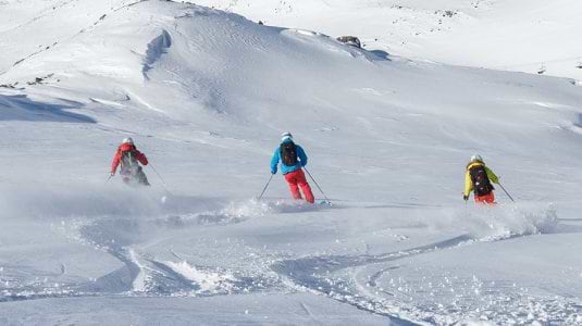 Group of people skiing in powder