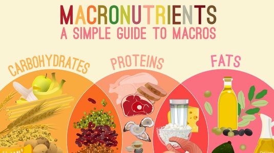 What are macronutrients?