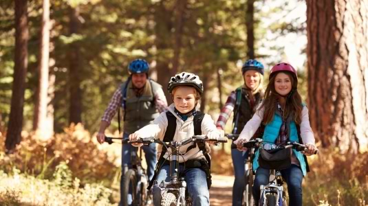 Family cycling through the woods