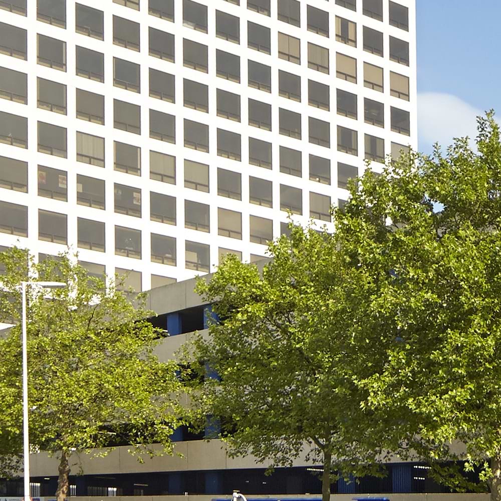 Met een hoogte van ca. 95 meter en ca. 38.336 m² bvo en 30.692 m² bvo verdeeld over 21 verdiepingen biedt het gebouw kantoor- en laboratoriumruimte van ca. 1.500 m² per verdieping met prachtig uitzicht over de Rotterdamse haven en de stad Rotterdam. De hoge structuur samen met de combinatie van grote bronzen kozijnen en natuursteen aan de buitenkant springt in het oog en resulteert in een landmark gebouw. De hoofdingang van Rotterdam Science Tower ligt aan de oostzijde van het gebouw, op het plein tussen RST en de Lee Towers, zodat alle ingangen van de drie torens aan hetzelfde plein liggen.