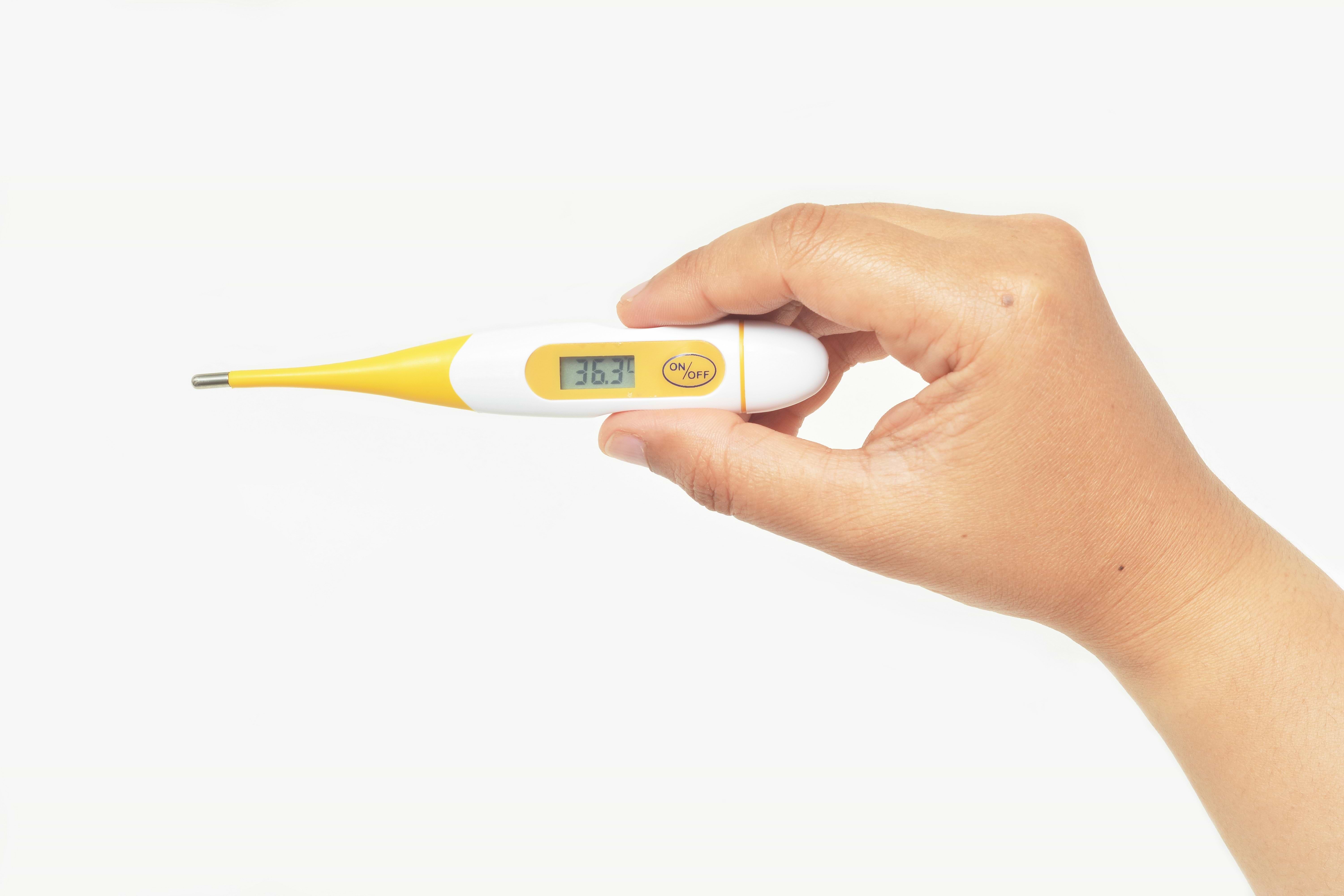 Basal Body Temperature (BBT) explained