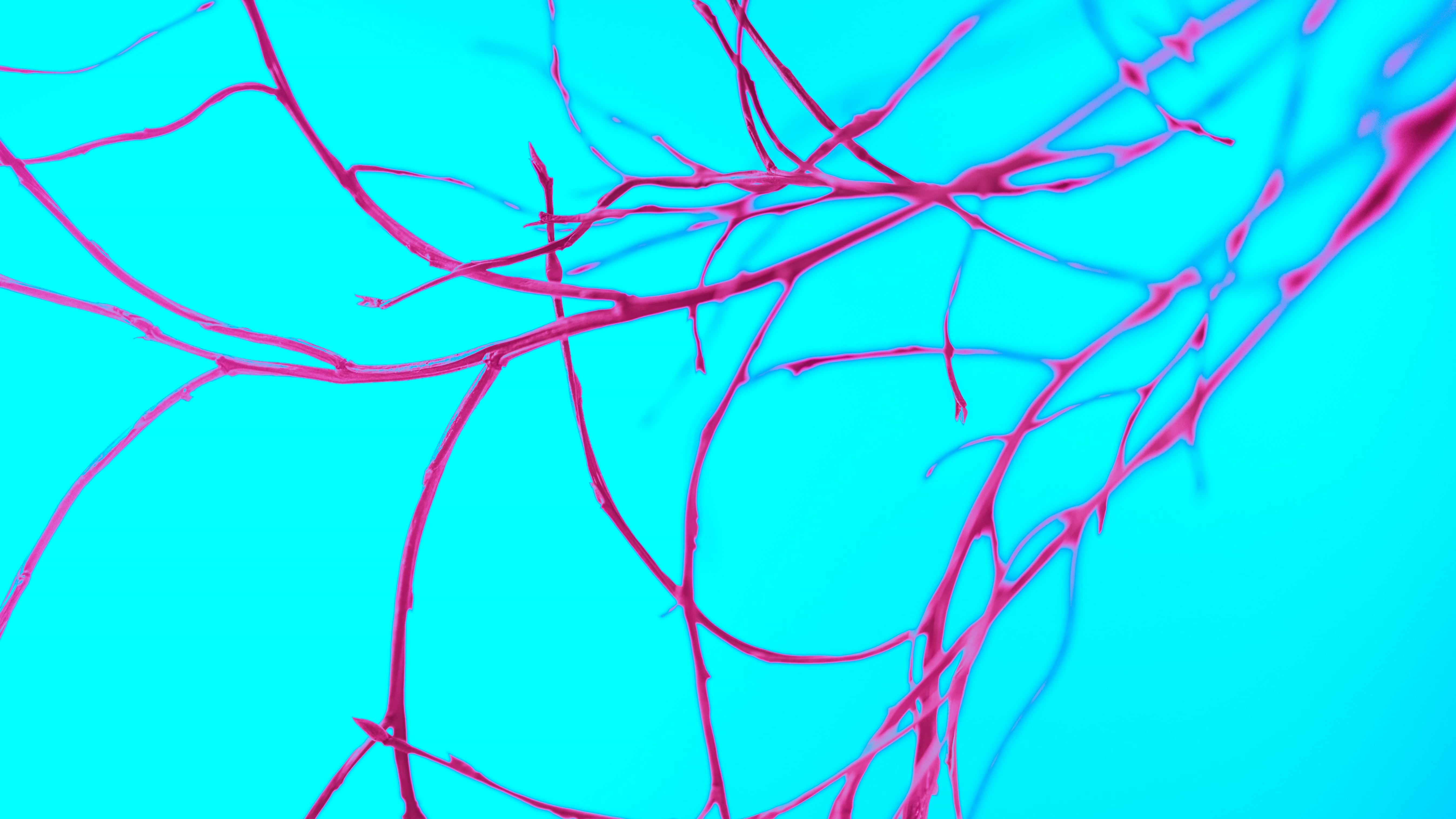 Nerves