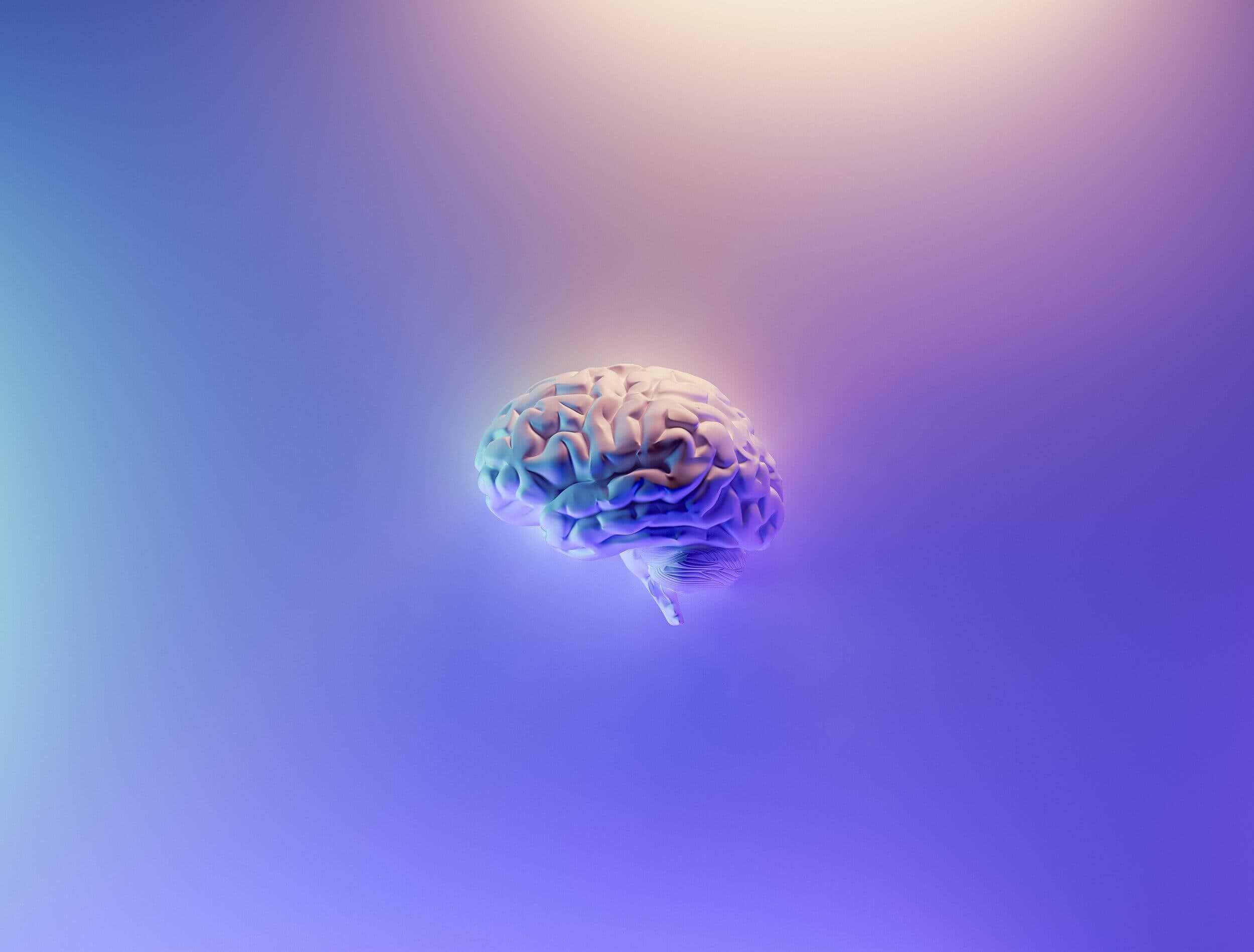 Metabolic Health And The Brain