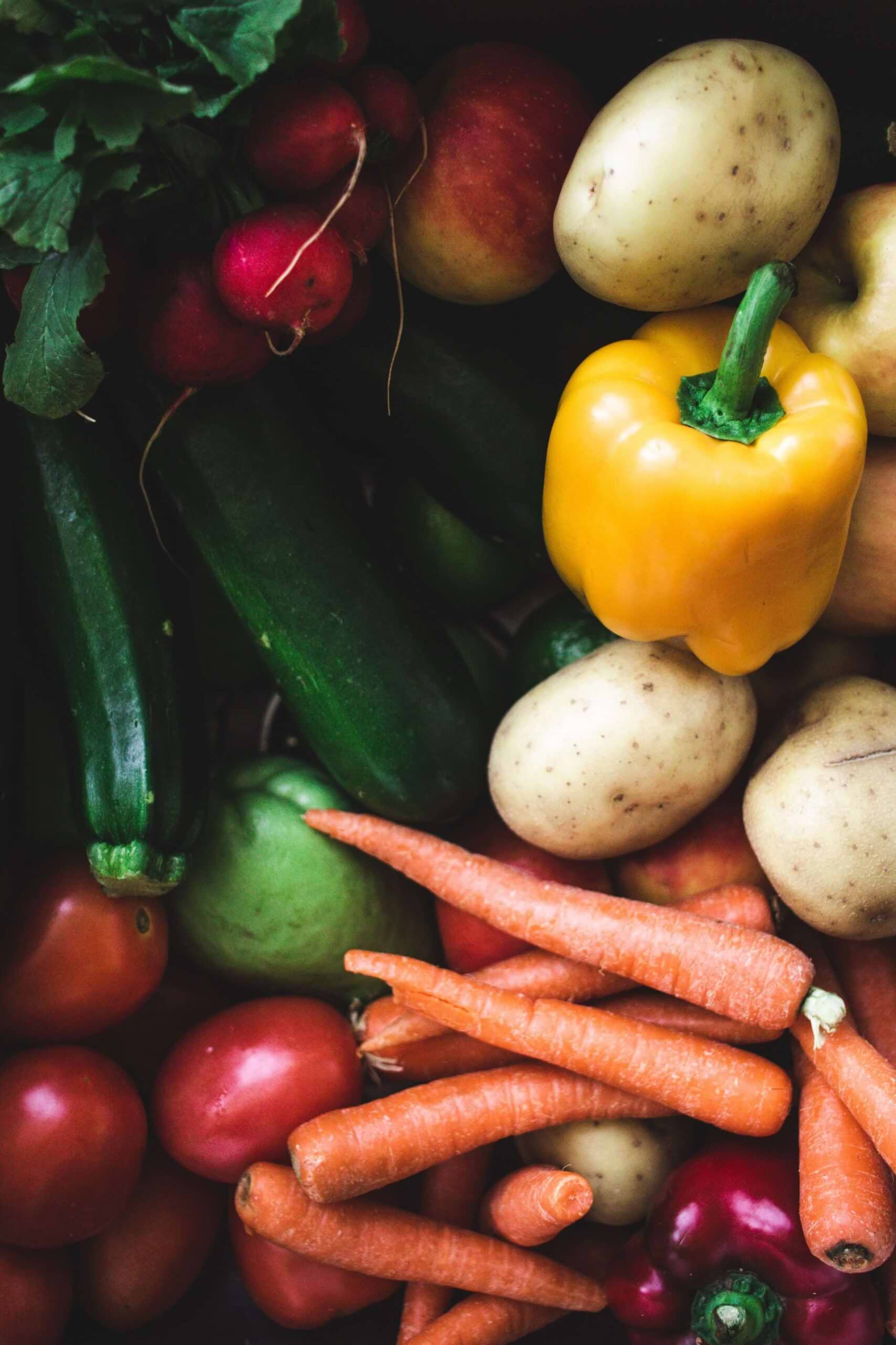Neuronutrition Food For The Brain
