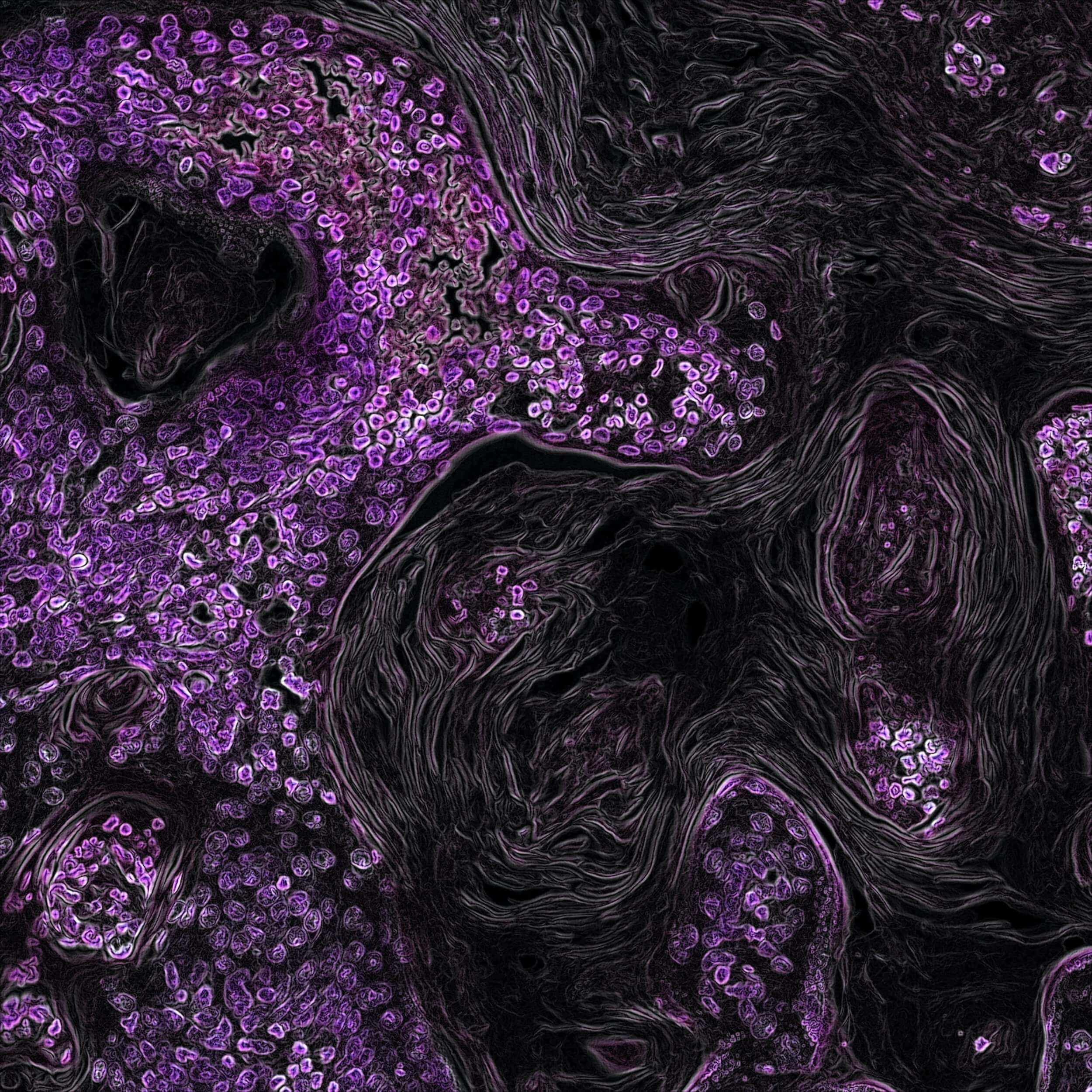 The underrated Cellular detox you should know about