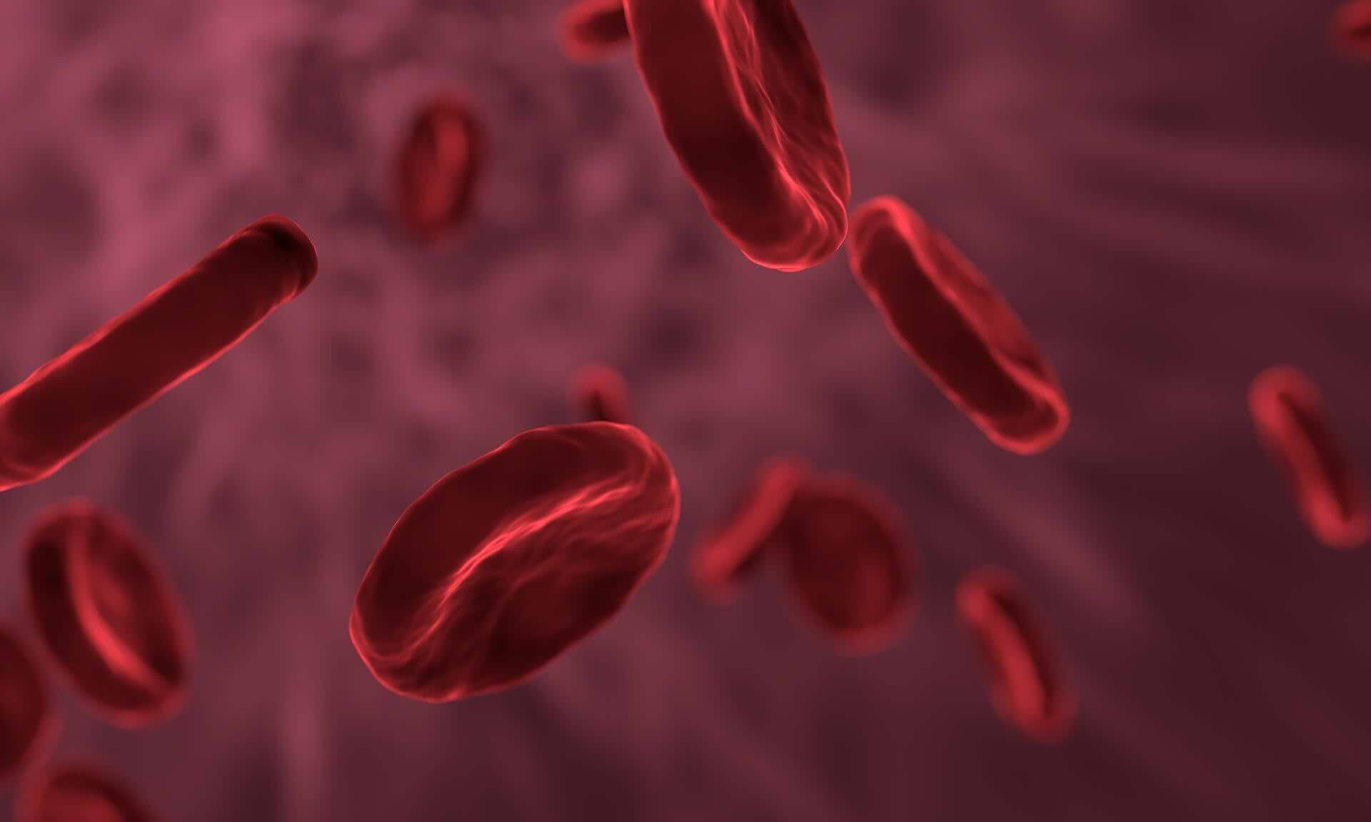 Your Blood Never Lies: Decoding Your Biochemistry
