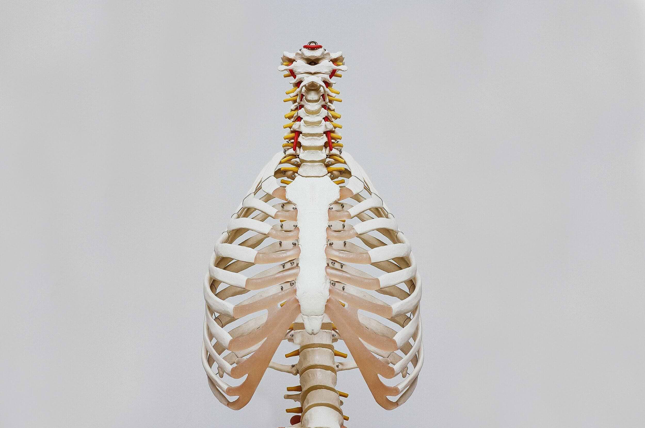 Metabolic Health And Lung Function
