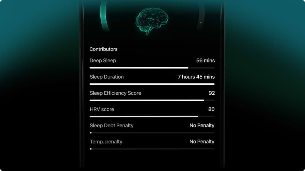 Factors that influence brain waste clearance