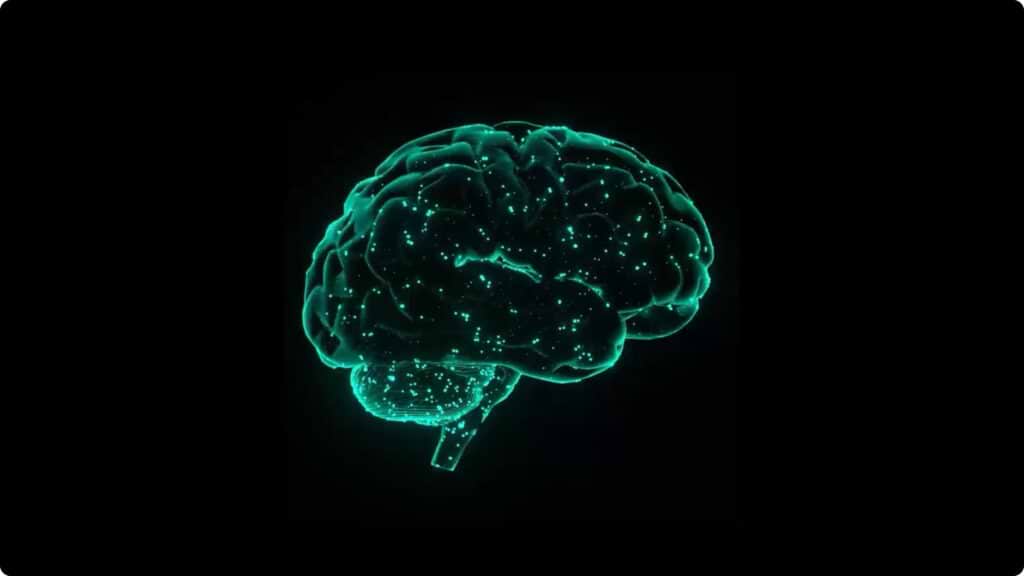 Brain Waste Clearance