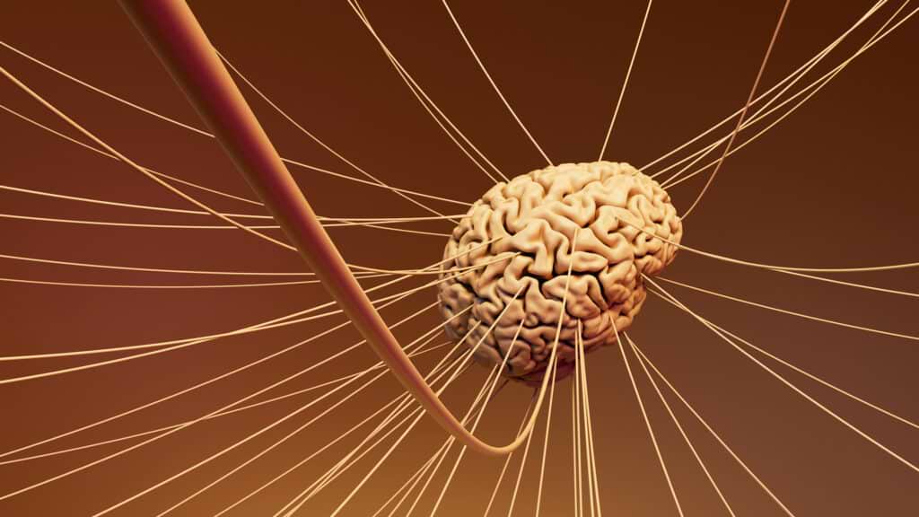 Vagus Nerve