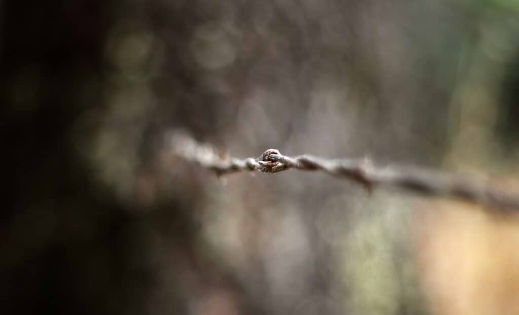 tightrope