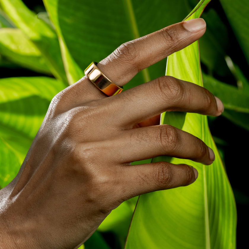 campaign_5