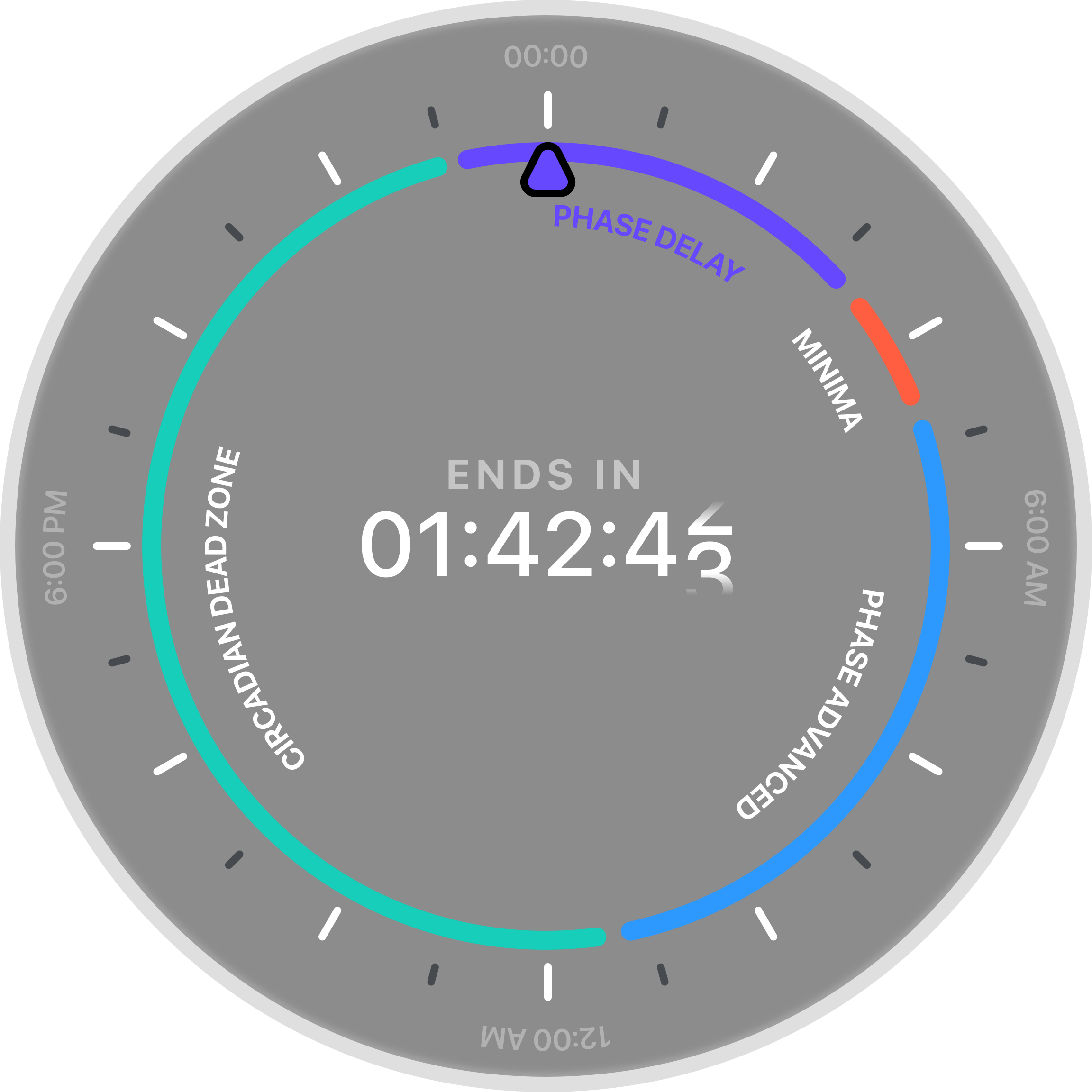 Phase Alignment Clock - Circadian Rhythm
