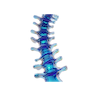 Bone Density