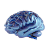 Cognition