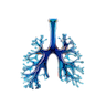 Pulmonary function test