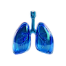 VO2 Max