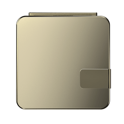 Gold case