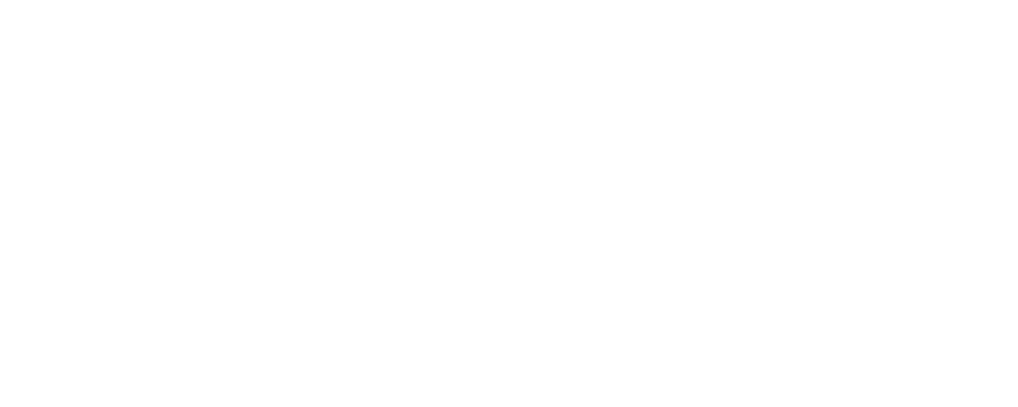 nexusvp