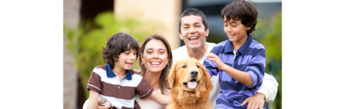  המדריך למאמץ כלב חדש -  4. איך להכיר כלב חדש לבית למשפחה ולחיות אחרות