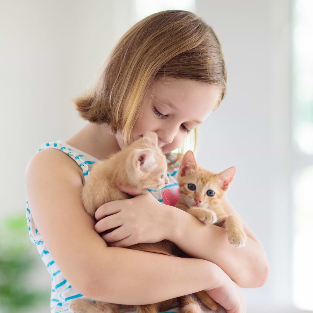 יום המשפחה: זמן מושלם לחגוג את הקשר המיוחד בין בני אדם לחתולים